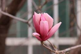 IMG_7856